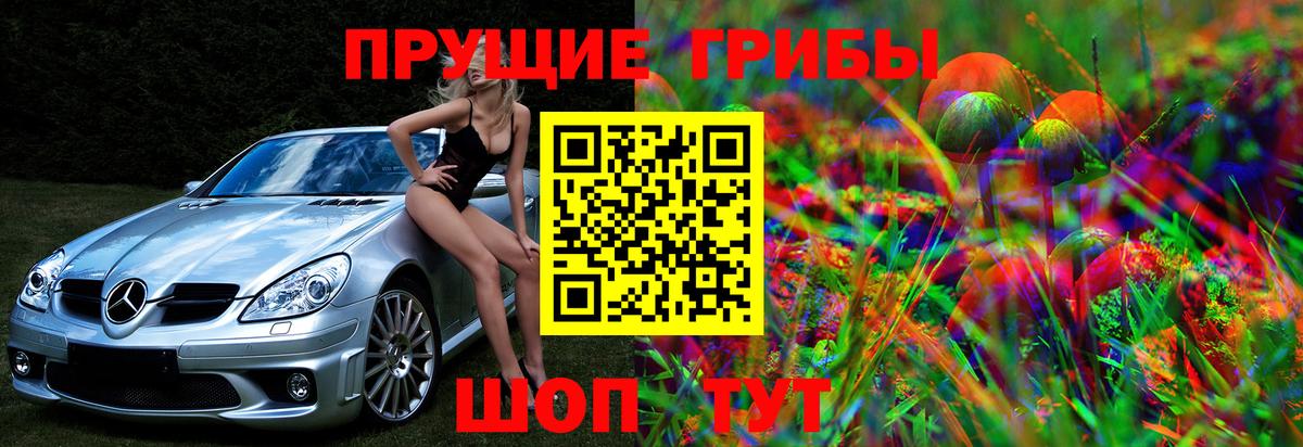 сколько стоит  Галлюциногенные грибы прущие грибы  Вход с VPN  Псилоцибиновые грибы мицелий  Похвистнево 